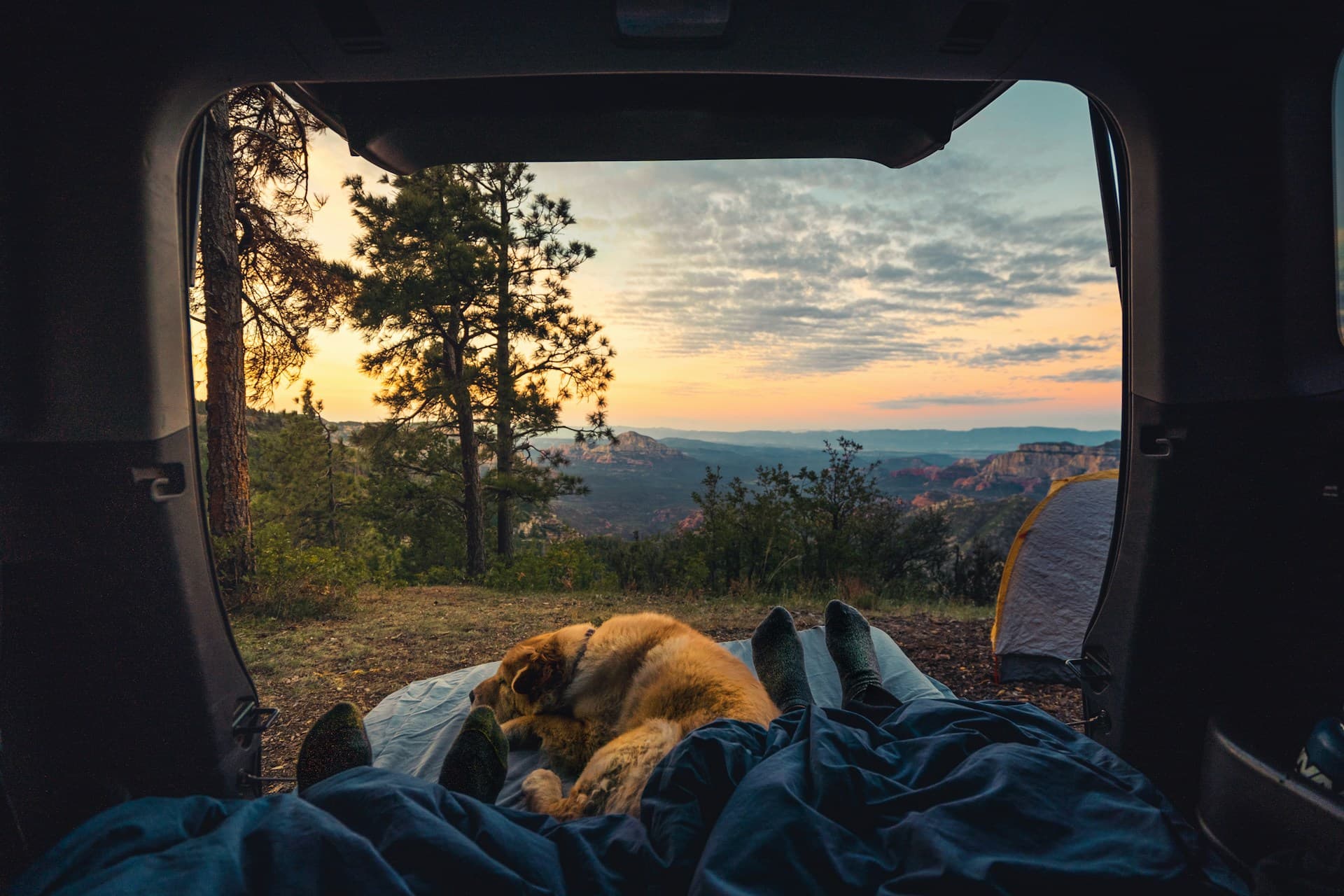 Golden hour camping in the forest